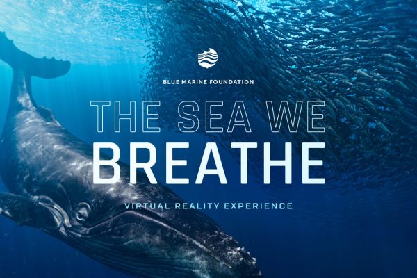 «Море, которым мы дышим», использует виртуальную реальность для обучения детей вопросам изменения климата.