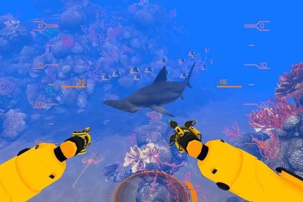 Великий океан позволяет вам плавать с китами и морскими черепахами в виртуальной реальности.